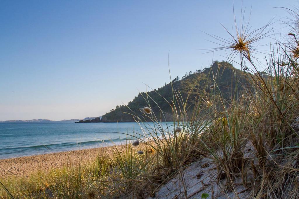 Vila Ocean Cliff Court Kuaotunu Exteriér fotografie